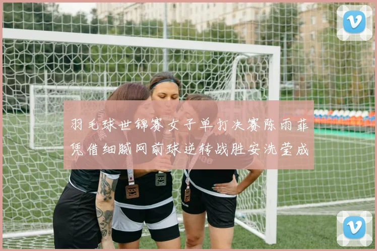 羽毛球世锦赛女子单打决赛陈雨菲凭借细腻网前球逆转战胜安洗莹成功登顶